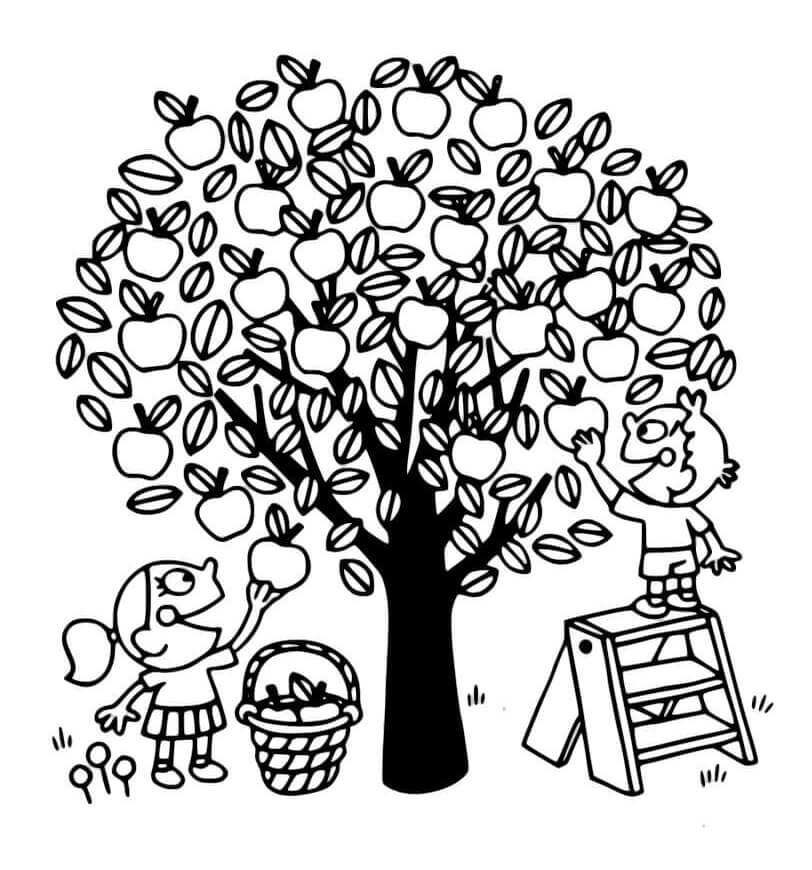 Desenho de Macieira para Colorir Fácil Pdf e Pintar