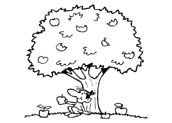 Desenho de Macieira para Colorir Simples e Pintar