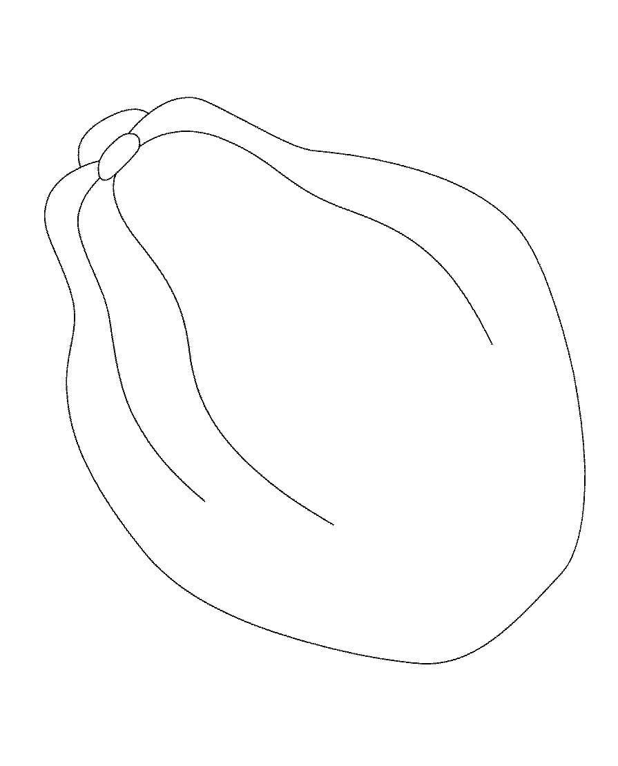 Desenho de Mamão para Colorir Lápis de Cor e Pintar