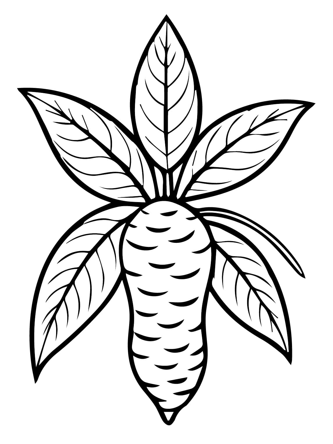 Desenho de Foto de Mandioca para Colorir e Pintar