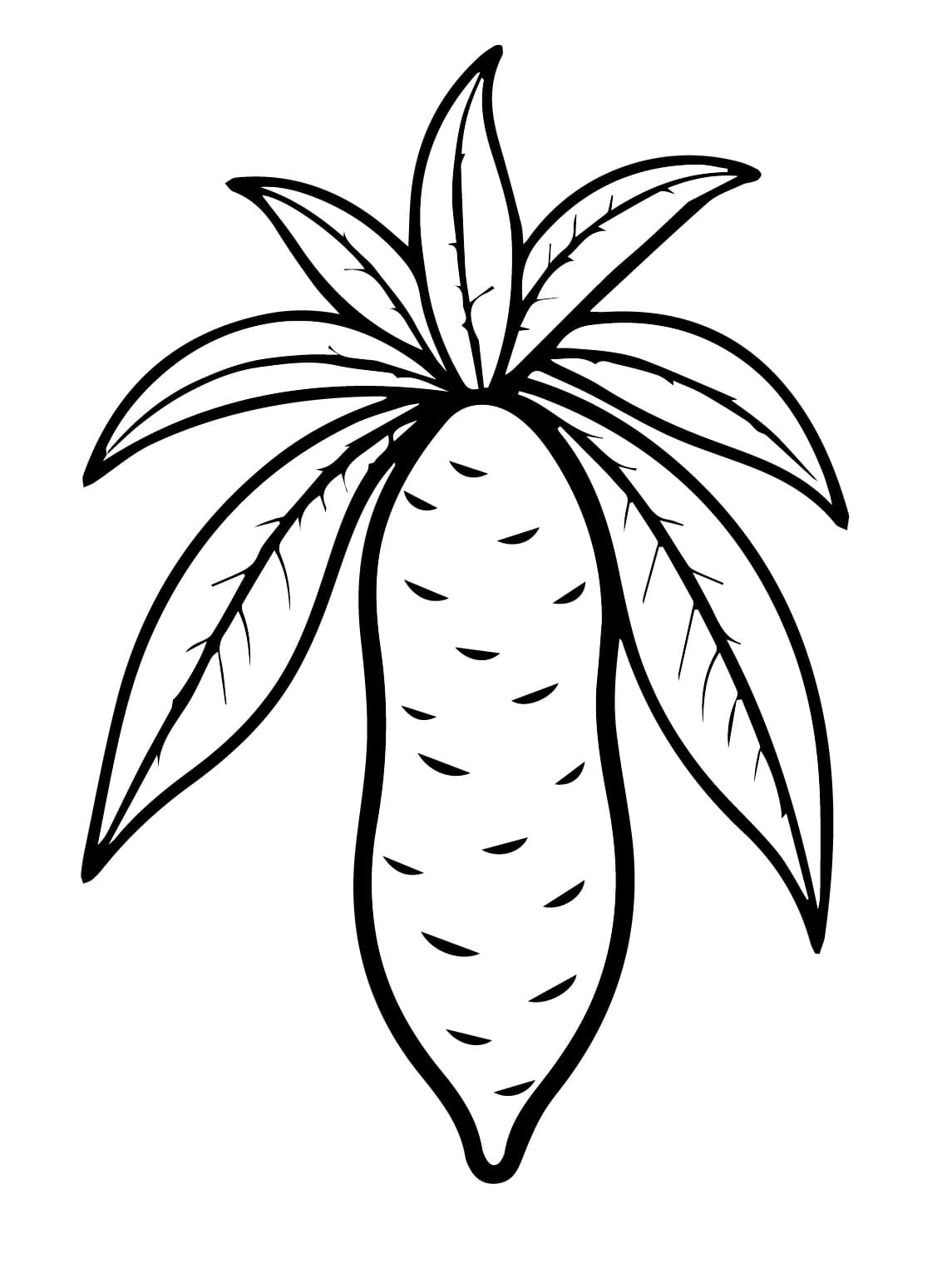 Desenho de Pintura de Mandioca para Colorir e Pintar