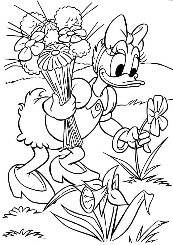 Desenho de Disney Margarida e Flores para Colorir e Pintar