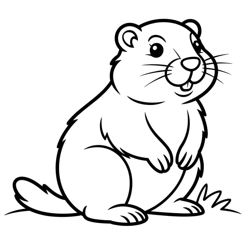 Desenho de uma Marmota Muito Fofa para Colorir