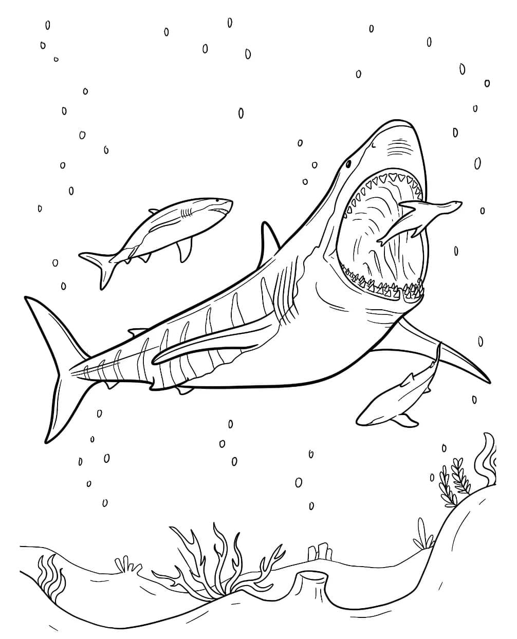 Desenho de Foto de Megalodon para Colorir e Pintar
