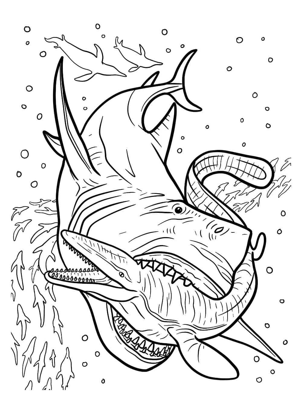 Desenho de Megalodon e Mosasaurus para Colorir e Pintar