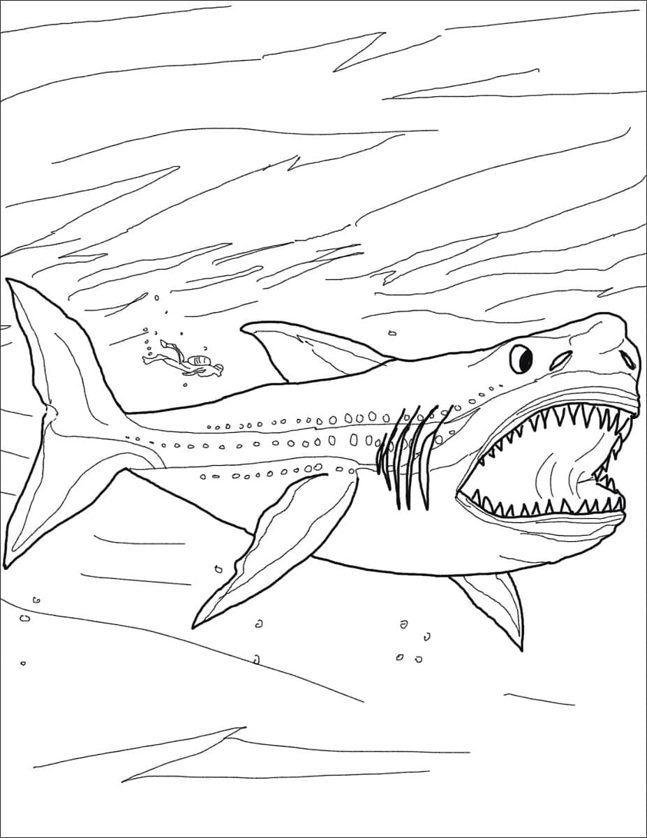 Desenho de Pintura de Megalodon para Colorir e Pintar