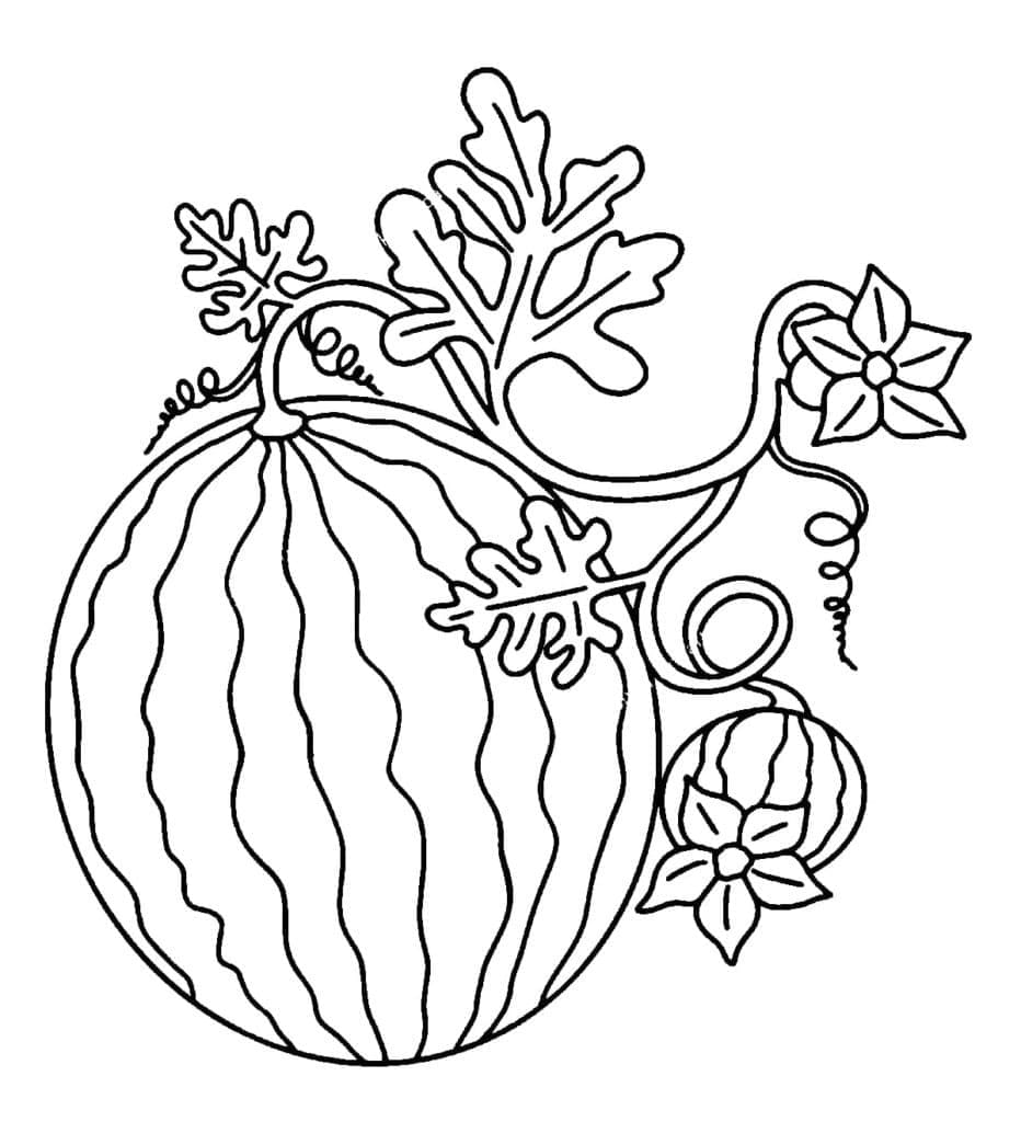 Desenho de Melancia para Colorir em Atividade Educativa e Pintar
