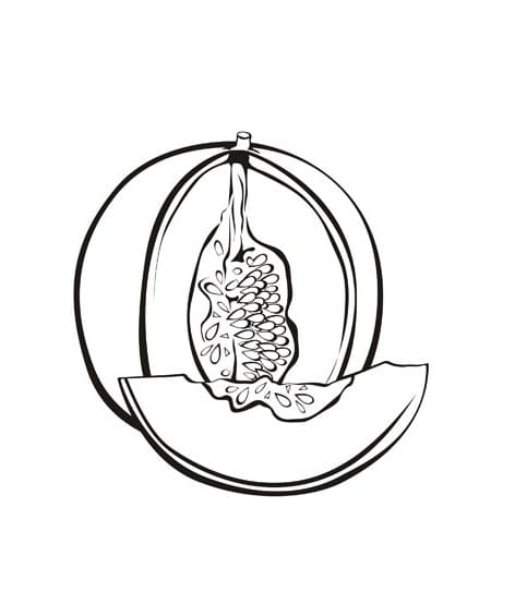 Desenho de Melão Fruta para Colorir e Pintar
