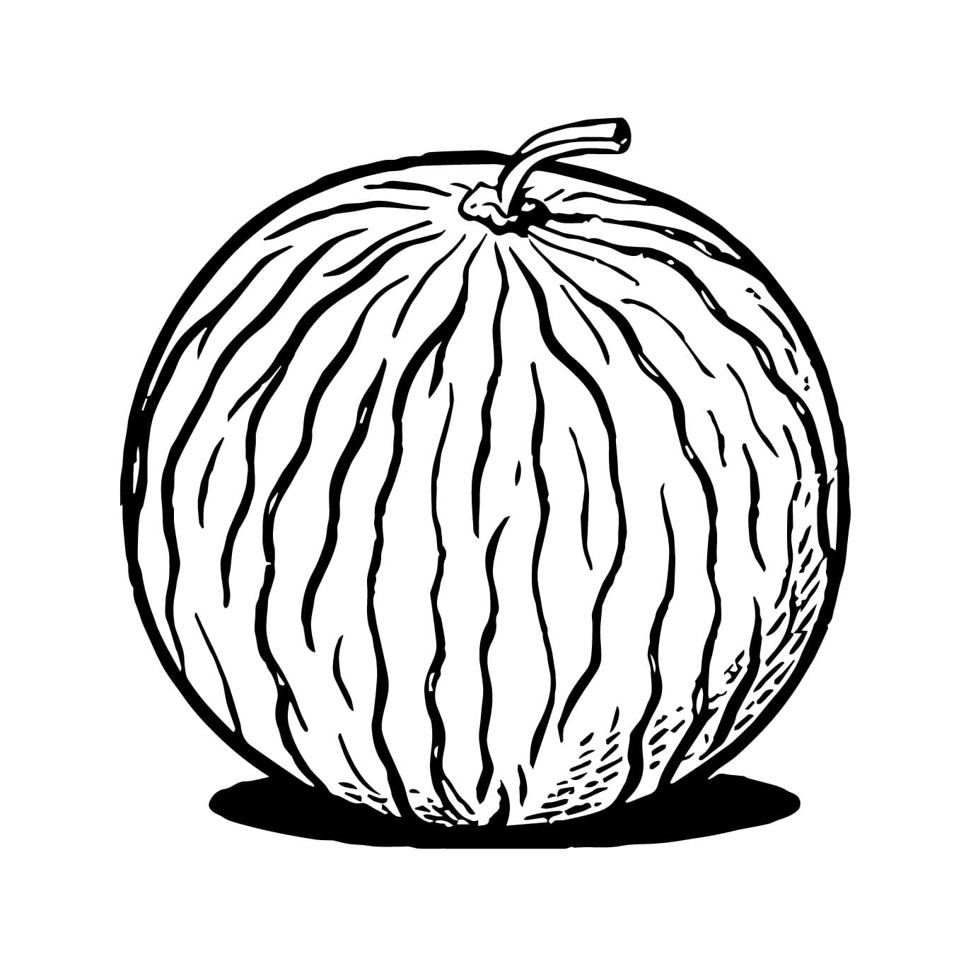 Desenho de um Melão para Colorir e Pintar