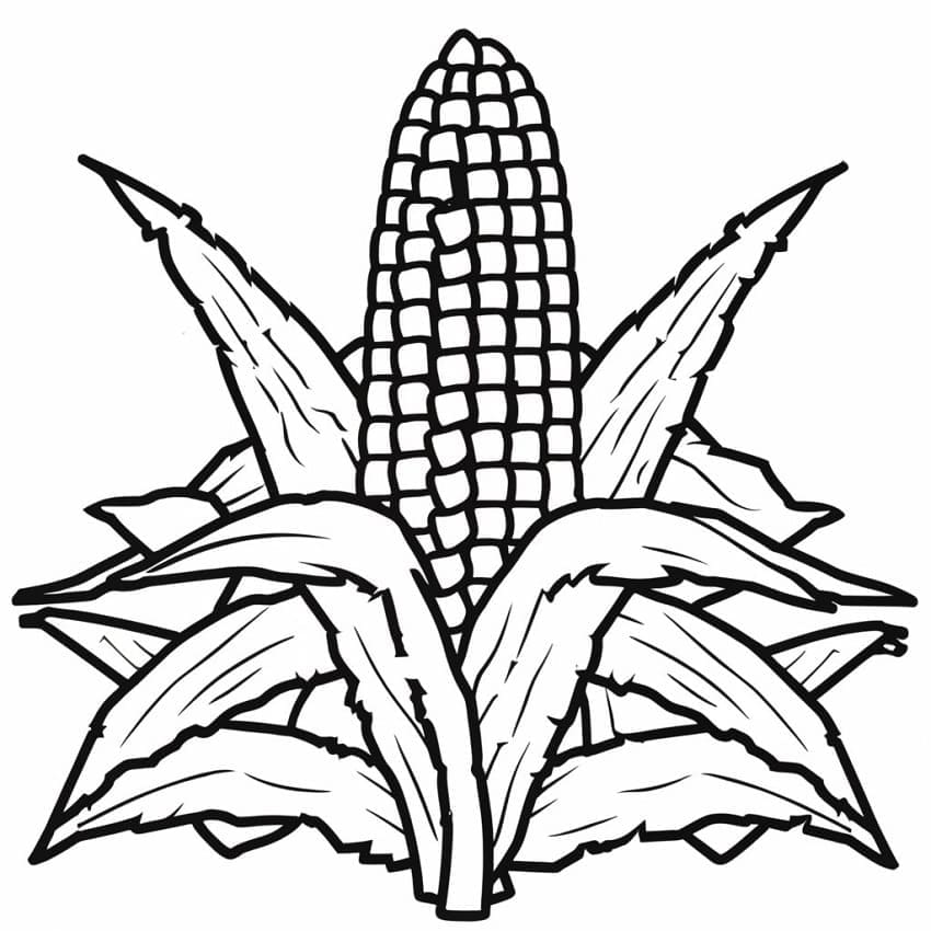 Desenho de Imagem de Milho para Colorir e Pintar