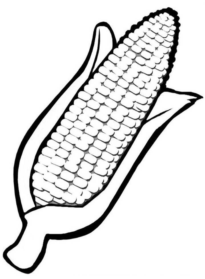 Desenho de Milho com Casca para Colorir e Pintar