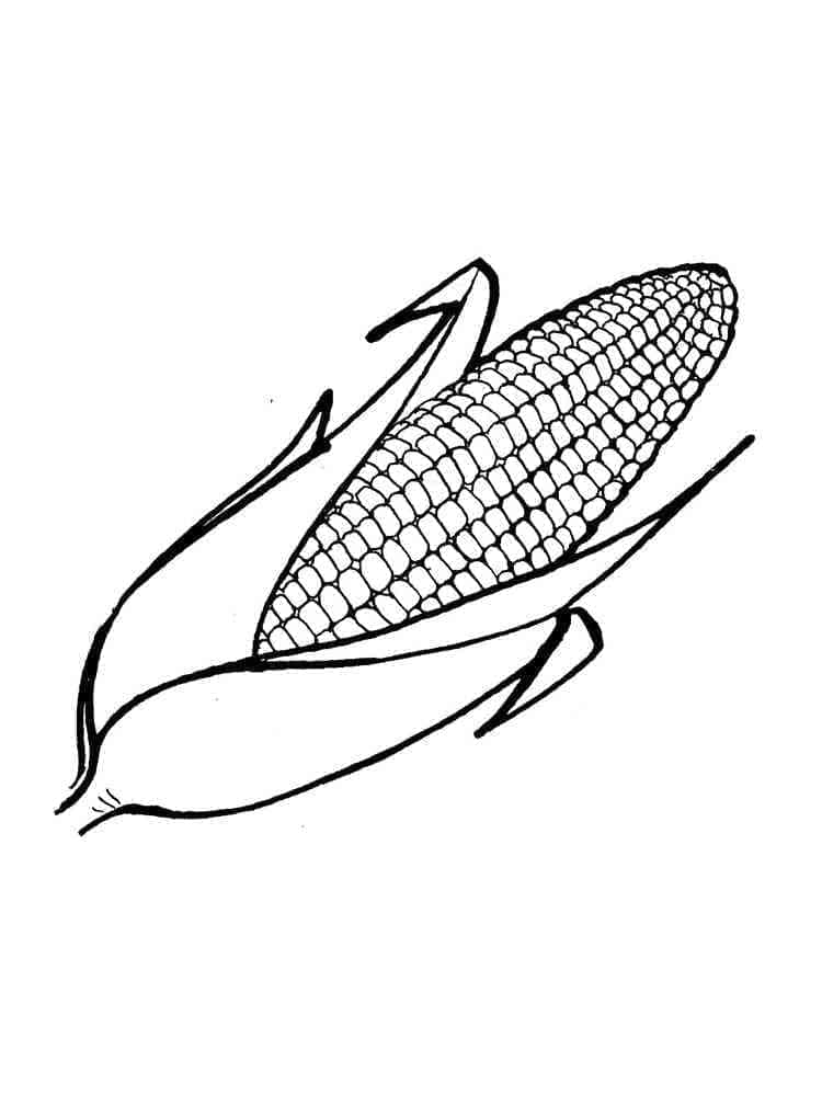 Desenho de Milho Cozido para Pintar
