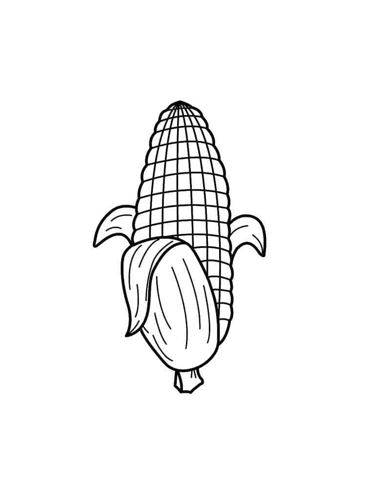 Desenho de Milho Imagem para Colorir e Pintar
