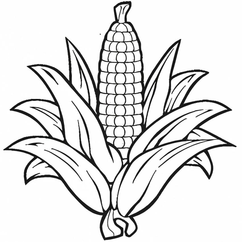 Desenho de Milho Imprimivel para Crianças para Colorir e Pintar