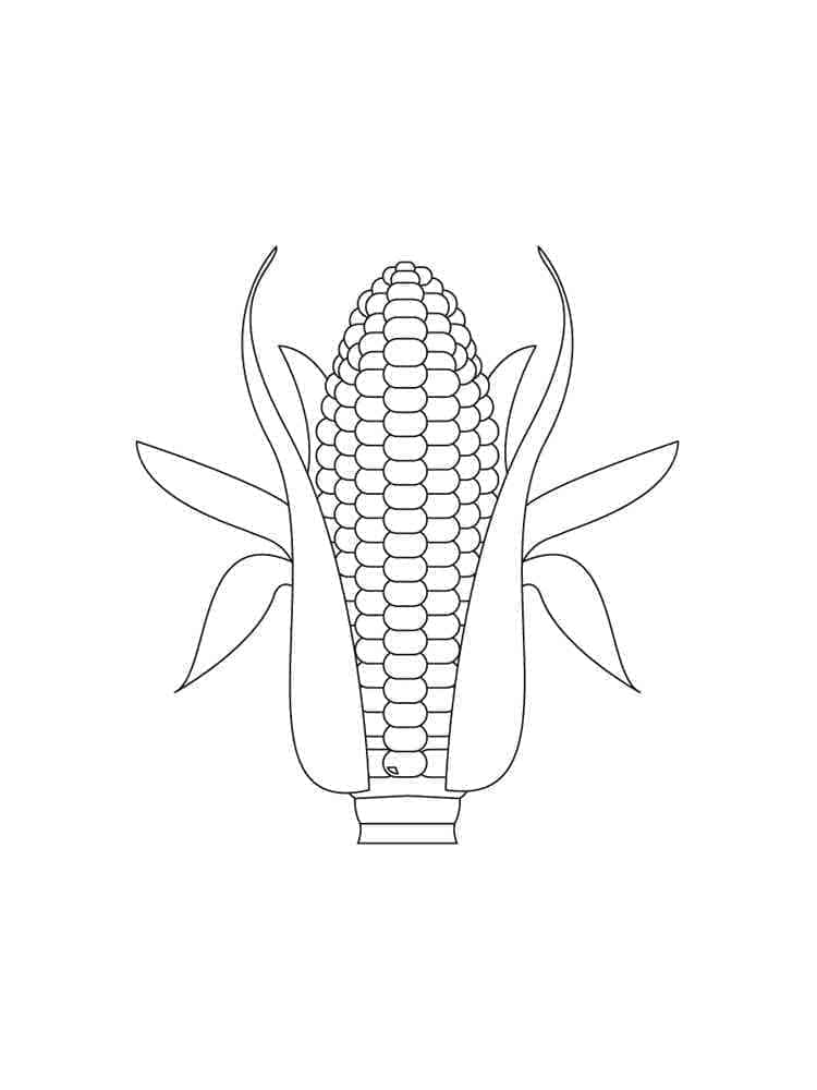 Desenho de Milho para Colorir Tinta Guache e Pintar