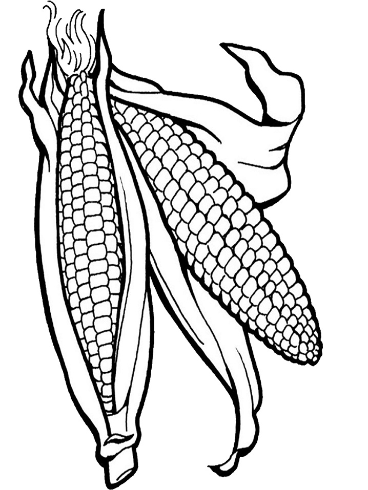 Desenho de Milho para Pintar