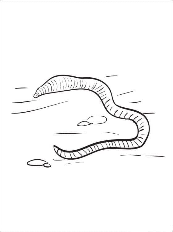 Desenho de Minhoca Rastejando na Terra para Colorir e Pintar