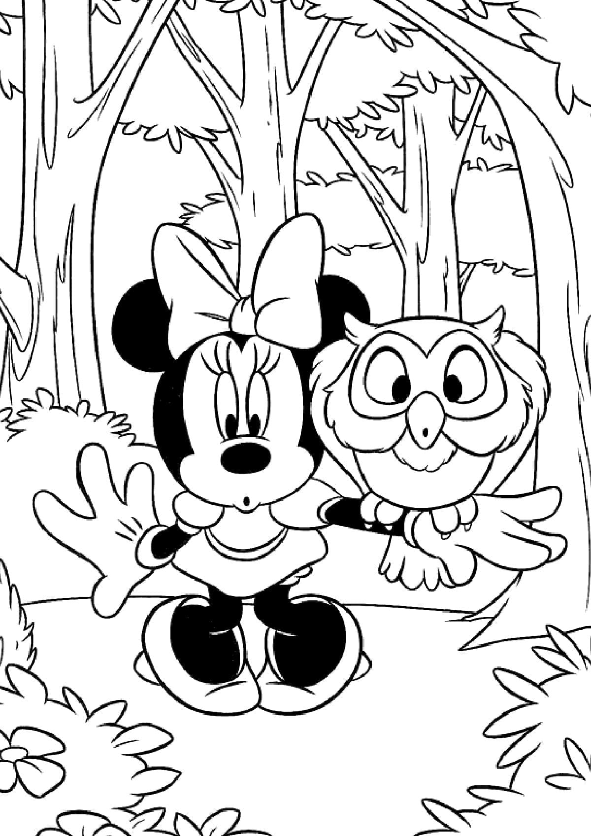Desenho de Minnie Mouse e Coruja para Colorir e Pintar