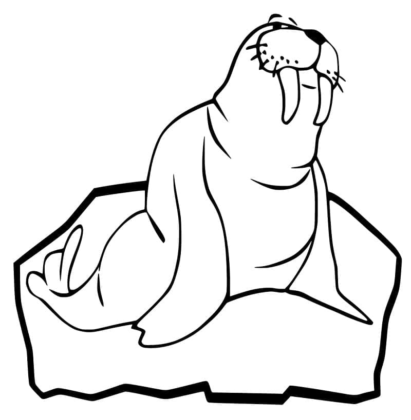 Desenho de Morsa no Gelo para Colorir e Pintar