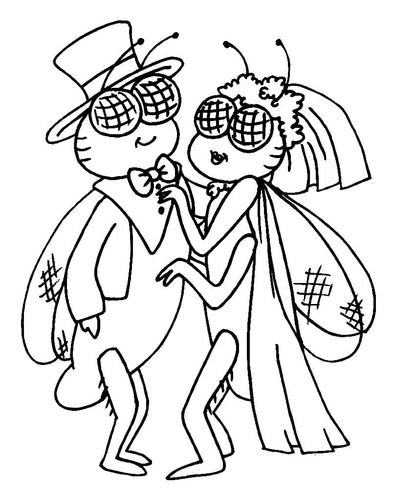 Desenho de Duas Moscas para Colorir e Pintar