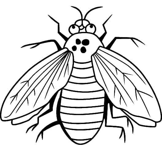 Desenho de Imagem da Moscá para Colorir e Pintar