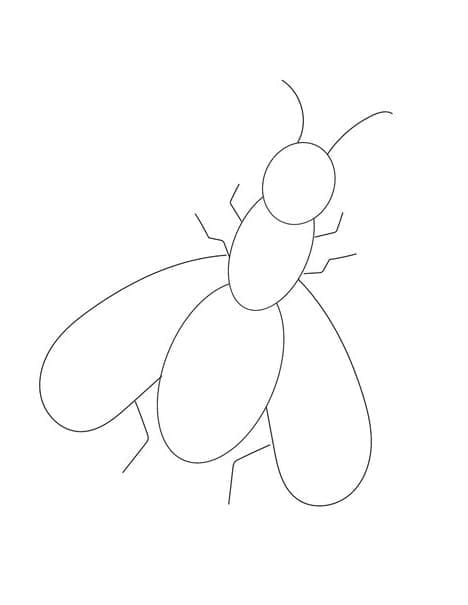 Desenho de Moscá Fácil para Colorir e Pintar