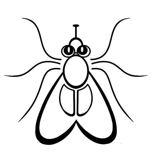 Desenho de Moscá Muito Fácil para Colorir e Pintar