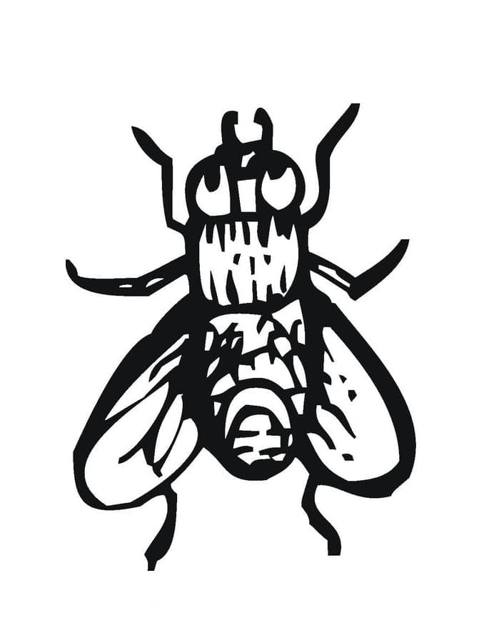 Desenho de Moscá para Colorir e Pintar