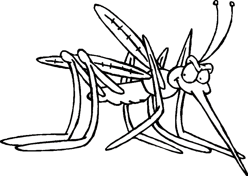 Desenho de Mosquito da Dengue e Pintar