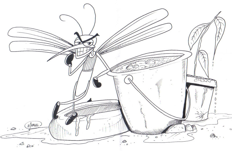 Desenhos de Combatê ao Mosquito da Dengue para Colorir e Pintar