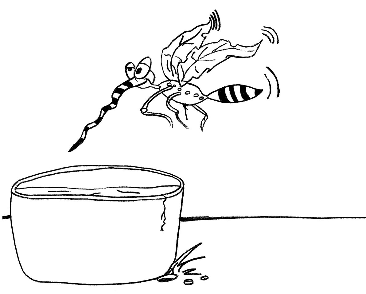 Desenhos Mosquito da Dengue para Imprimir e Pintar