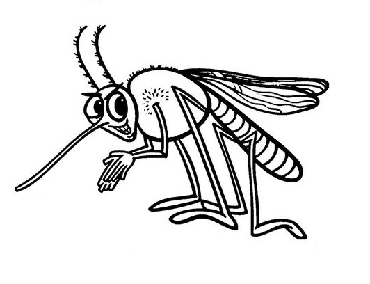 Mosquito da Dengue Desenho e Pintar
