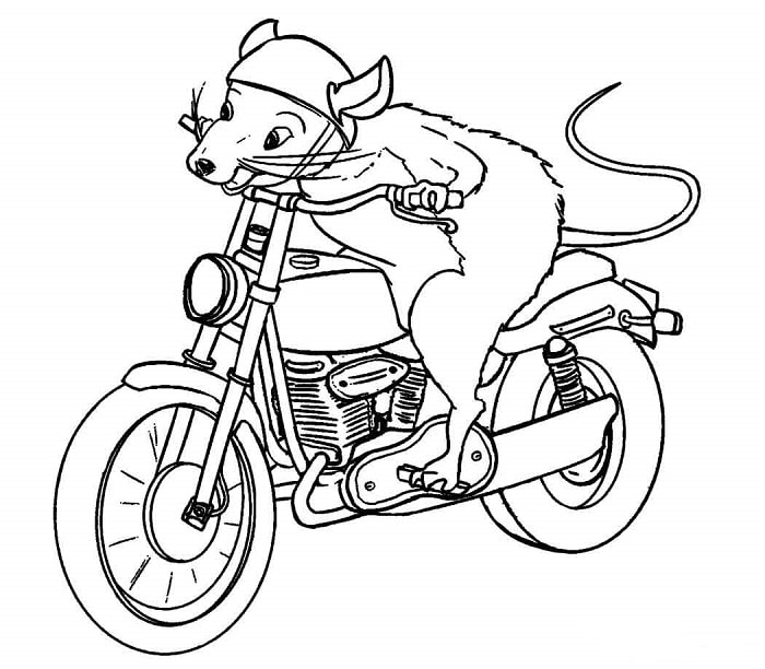 Desenho de Rato Pilotando Moto Muito Rápida para Colorir e Pintar