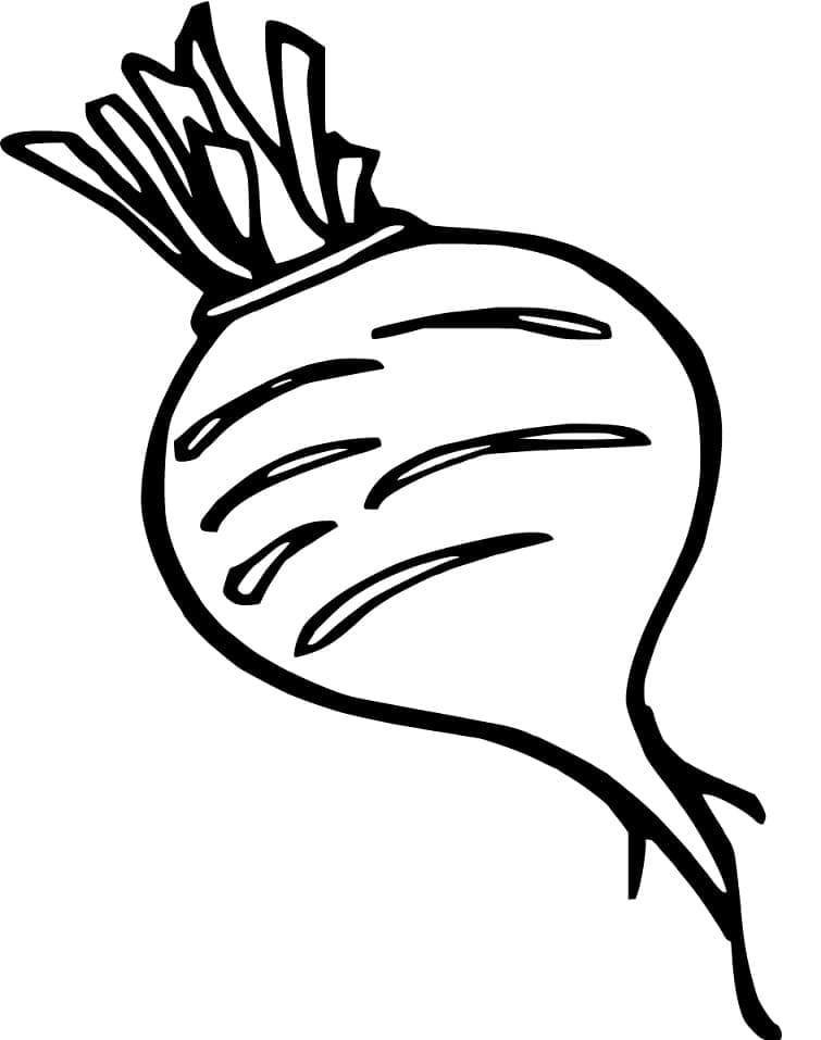 Desenho de Nabo Imagens para Colorir e Pintar