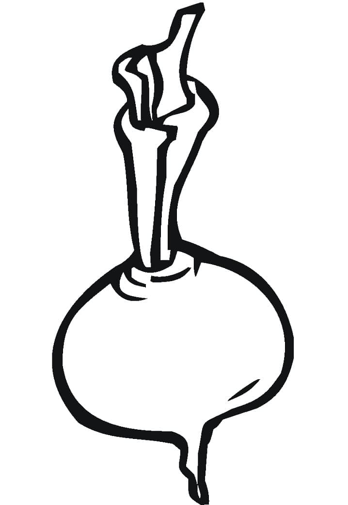 Desenho de Nabo Imprimivel e Pintar