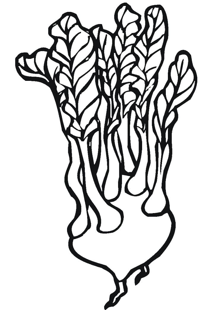 Desenho de Nabo Infantil para Colorir e Pintar