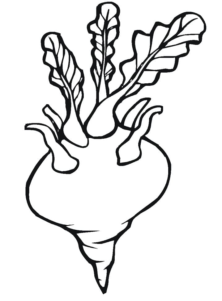 Desenho de Nabo para Colorir Online e Pintar