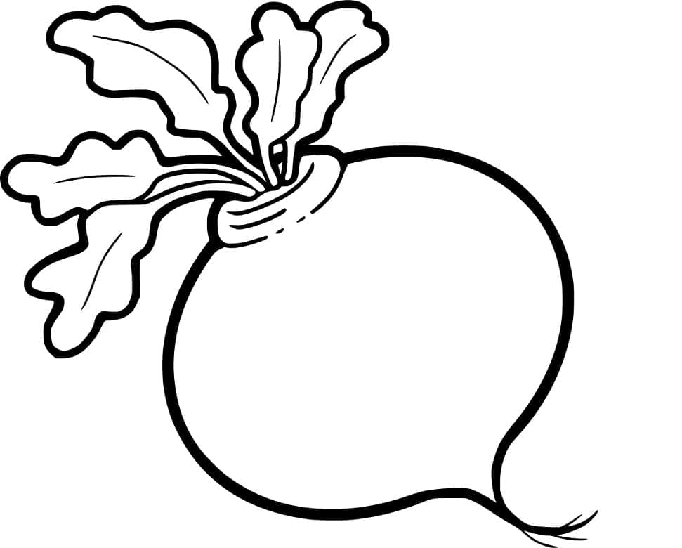 Desenho de Nabo para Imprimir e Pintar