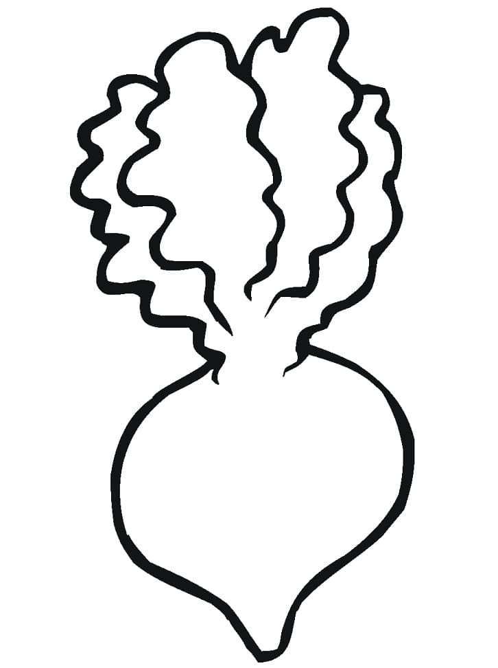 Desenho Nabo Fácil para Colorir e Pintar