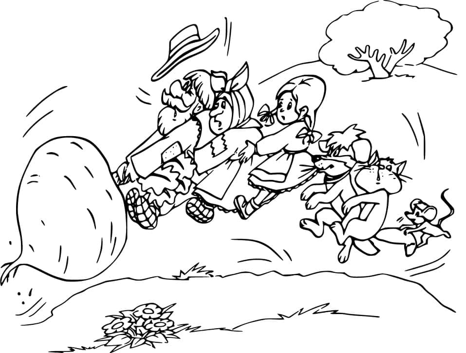 Desenho Nabo Gigante para Colorir e Pintar