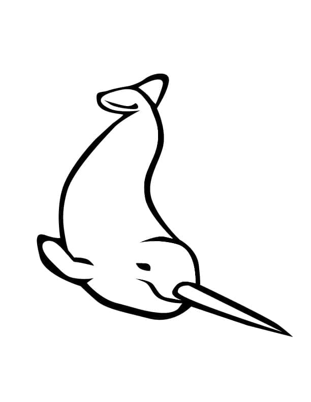 Desenho de Narval Infantil para Colorir e Pintar