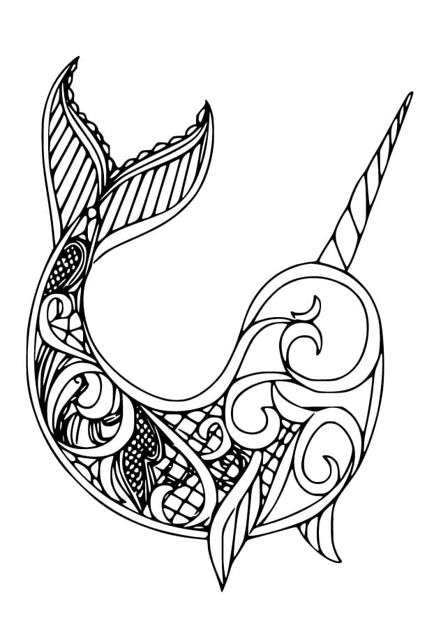 Desenho de Narval para Adultos para Colorir e Pintar