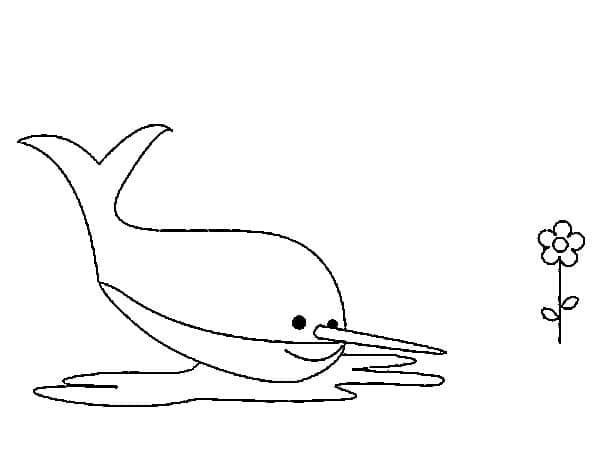 Desenho de um Narval Feliz para Colorir e Pintar