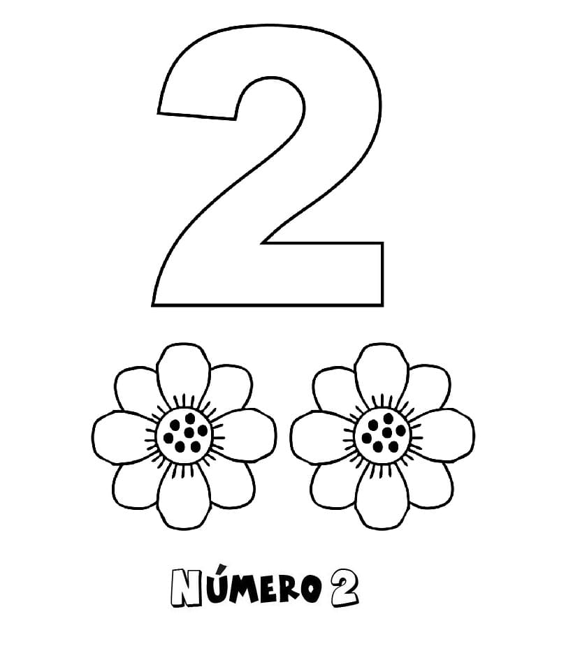 Desenho de Número 2 com Flores para Colorir e Pintar