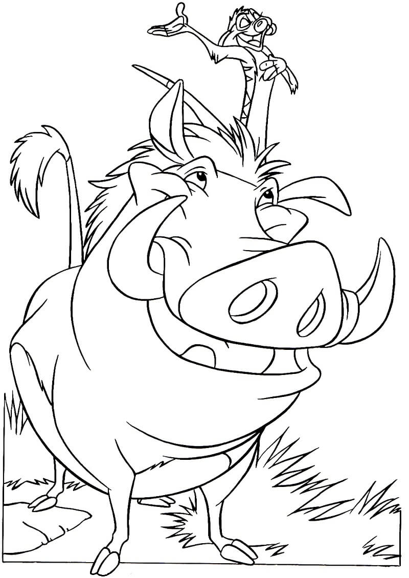 Desenho Pumba e Timon para Colorir e Pintar