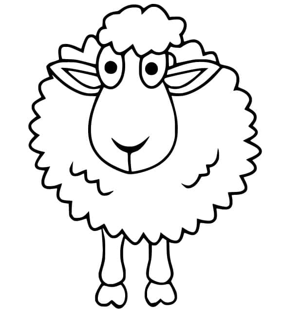Desenho Ovelha Bonita para Colorir e Pintar