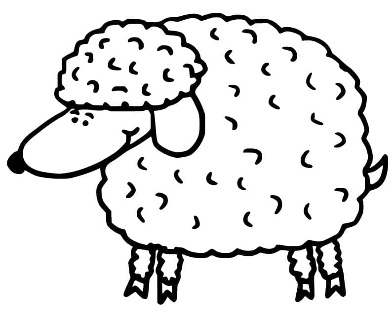 Desenho Ovelha para Colorir Lápis de Cor e Pintar