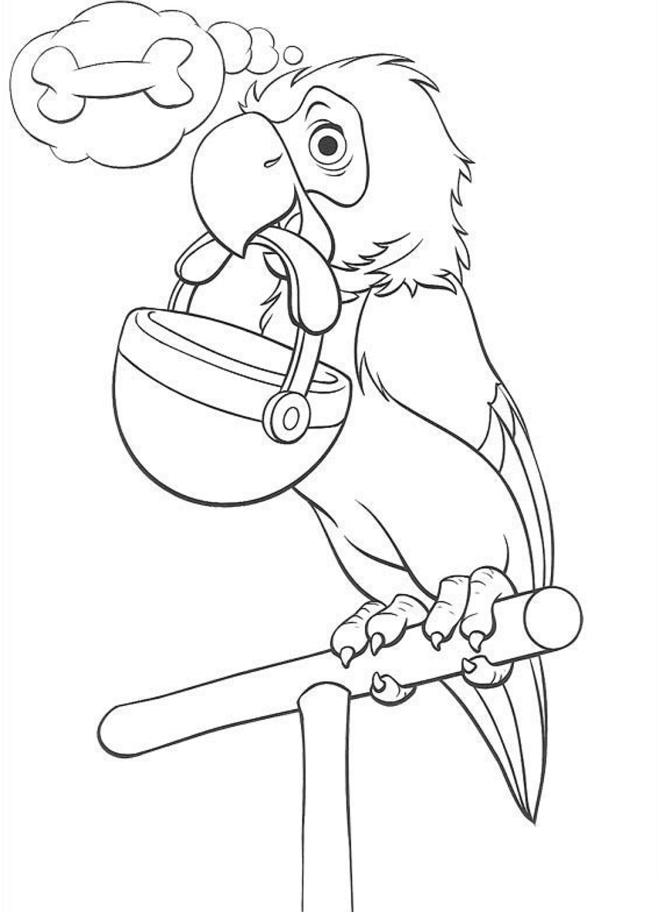 Desenho de Papagaio dos 101 Dálmatas para Colorir e Pintar