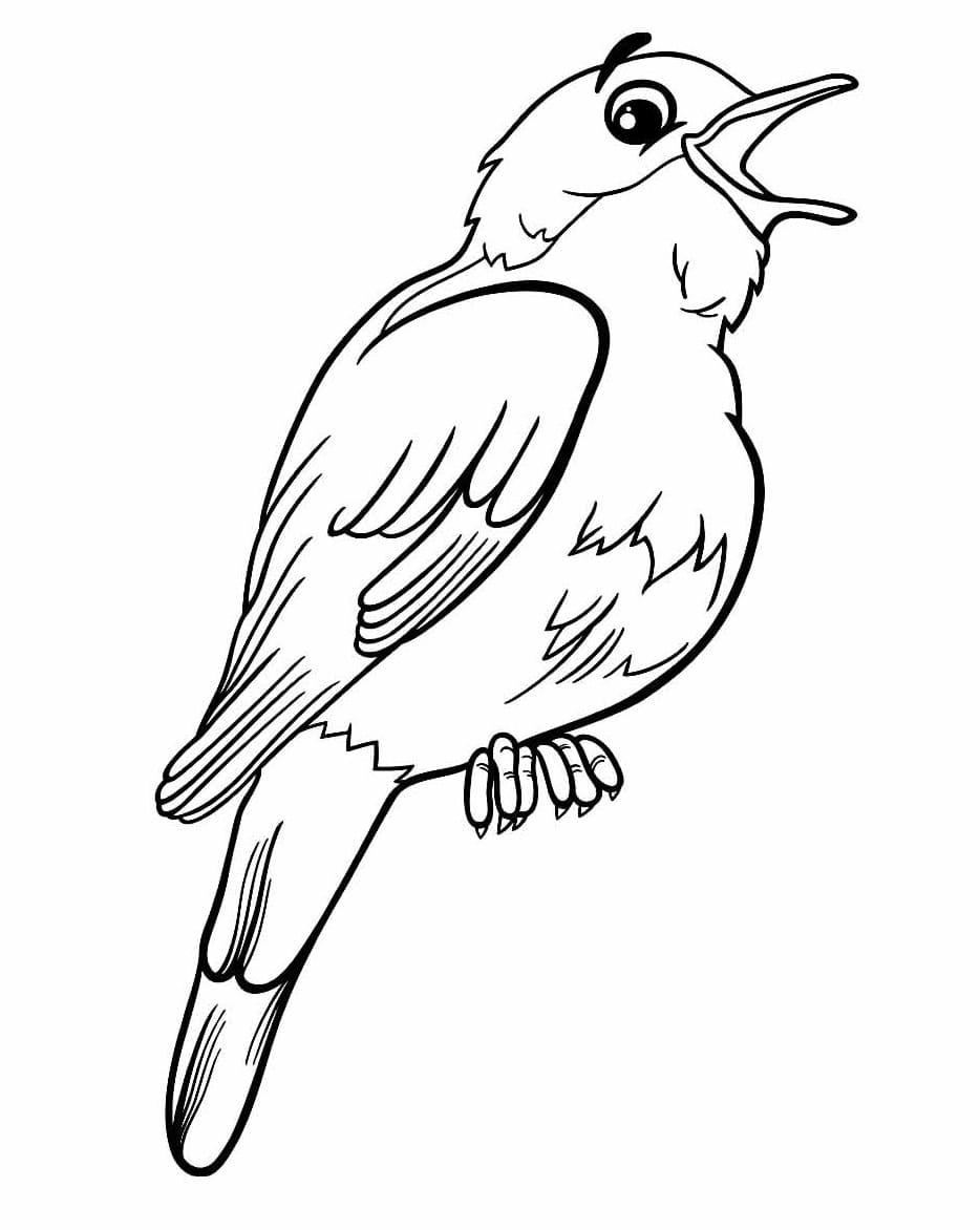 Desenho de Passarinho Feliz para Colorir e Pintar