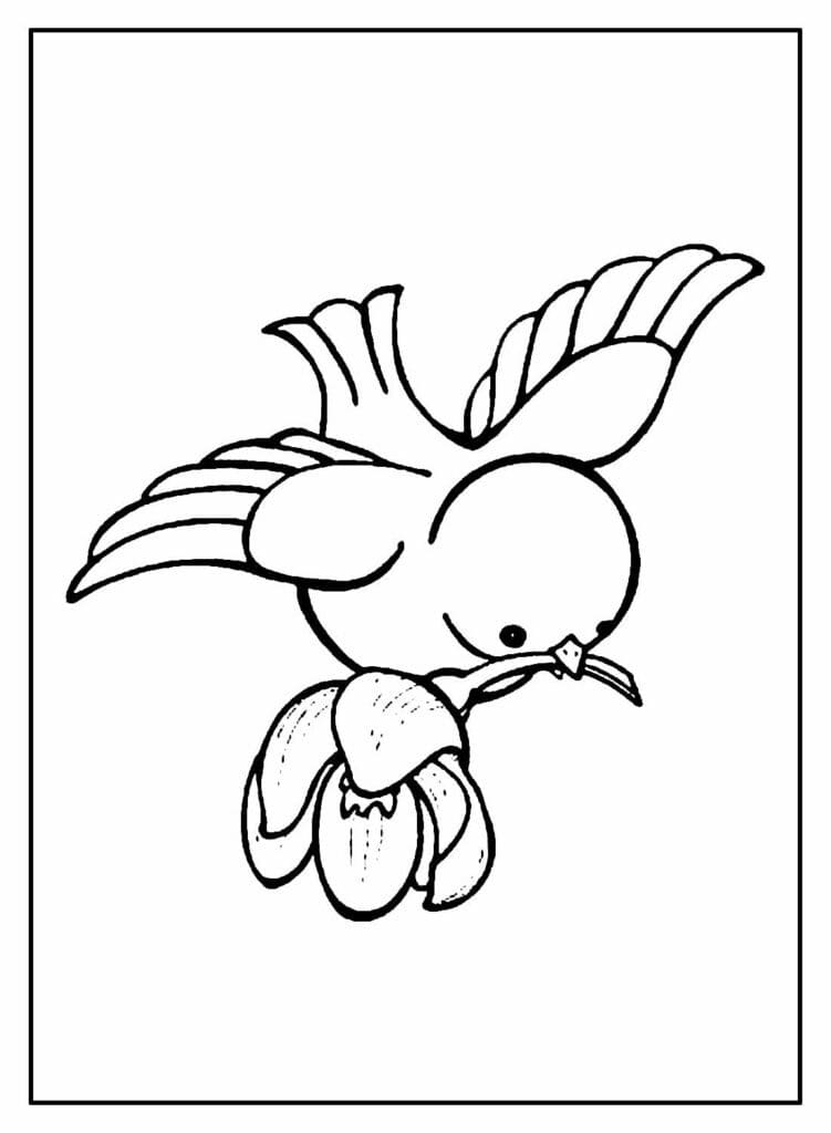 Desenho de Passarinho e Flor para Colorir e Pintar